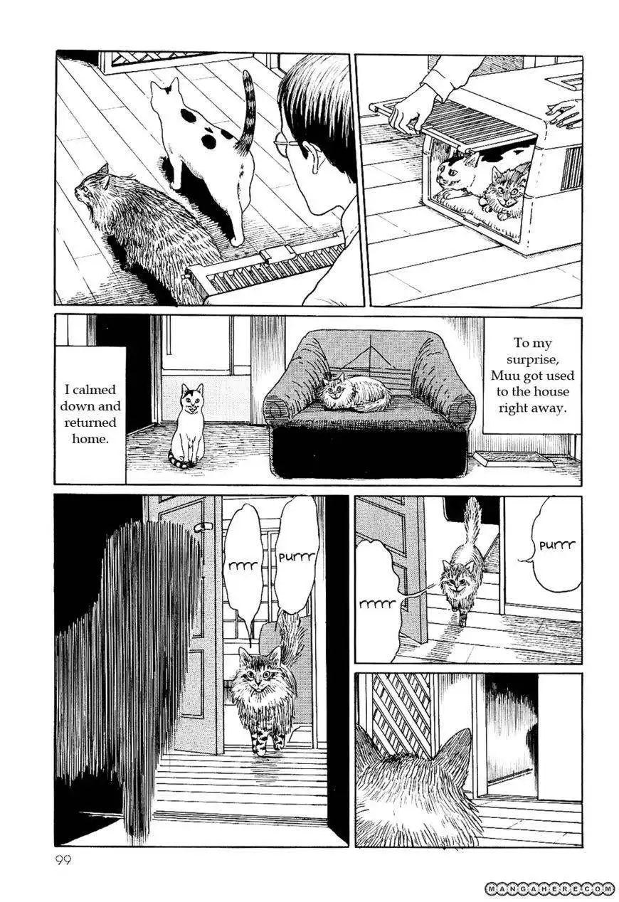 Ito Junji's Cat Diary Chapter 9 9